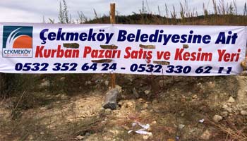 Kurban satış yeri 2014 istanbul